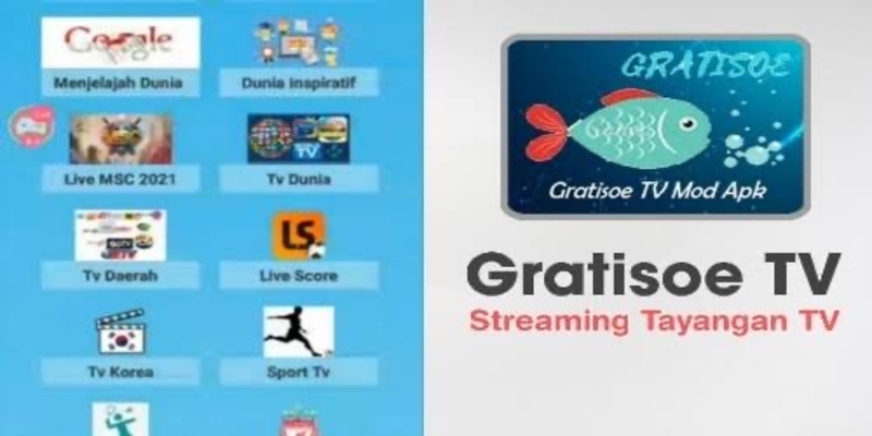 Tài và cài đặt Gratisoe tv apk được miễn phí hoàn toàn